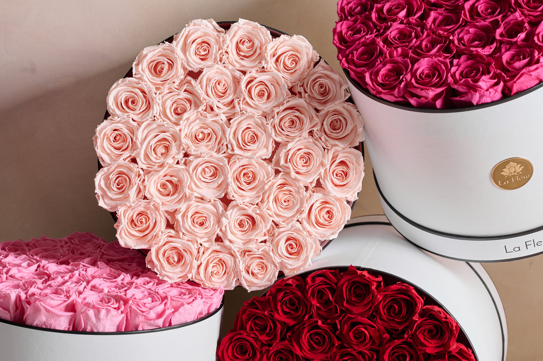 BLACK FRIDAY SPECIAL: Grande Round