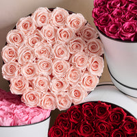 BLACK FRIDAY SPECIAL: Grande Round