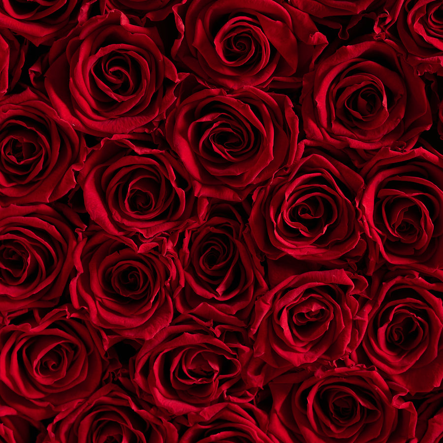 BLACK FRIDAY SPECIAL: Grande Round