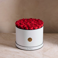 BLACK FRIDAY SPECIAL: Grande Round