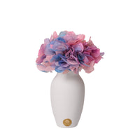 Creme Hydrangea Mini