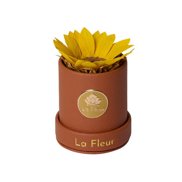 BLACK FRIDAY SPECIAL: Sunflower Mini