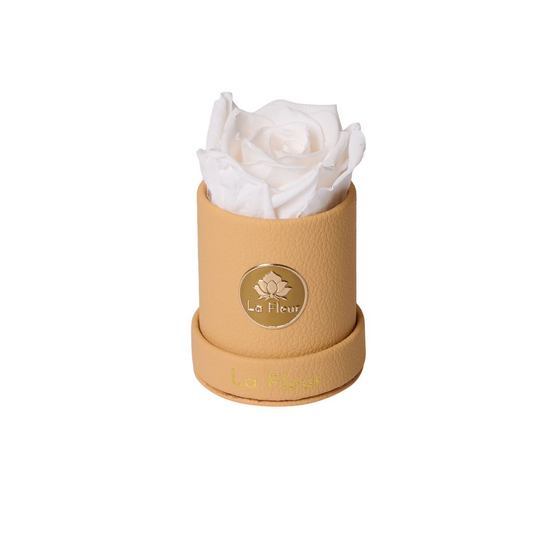 BLACK FRIDAY SPECIAL: Leather Mini