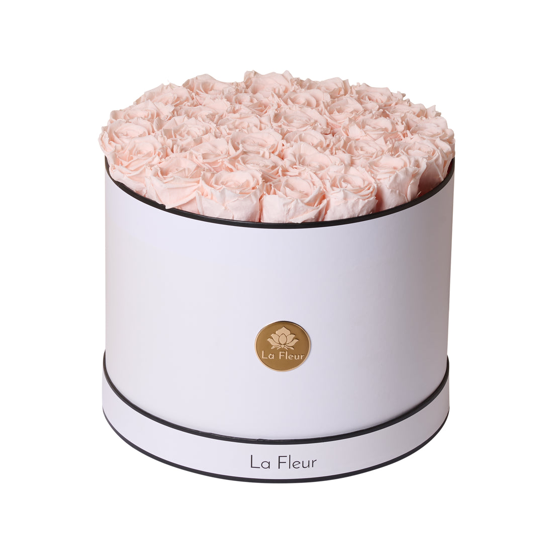 BLACK FRIDAY SPECIAL: Grande Round