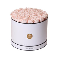 BLACK FRIDAY SPECIAL: Grande Round