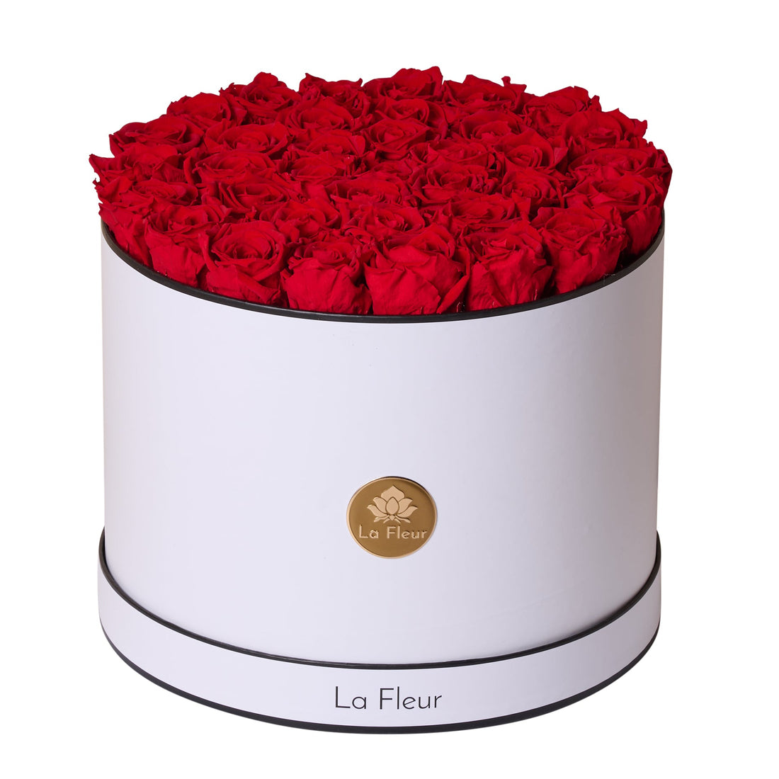 BLACK FRIDAY SPECIAL: Grande Round