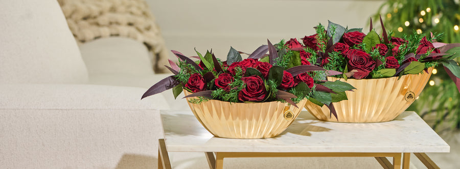 Rêve d’Hiver - Grande