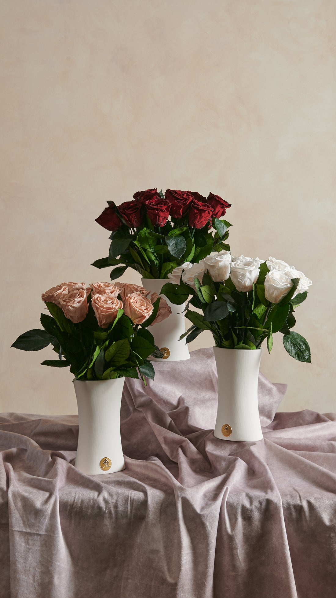 Creme Dozen Long Stems by La Fleur Lifetime Flowers