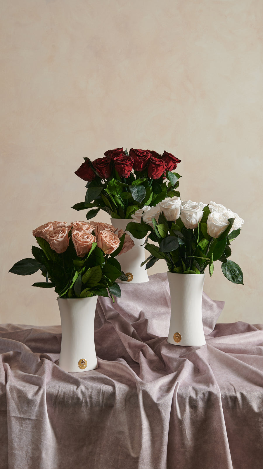 Creme Dozen Long Stems by La Fleur Lifetime Flowers