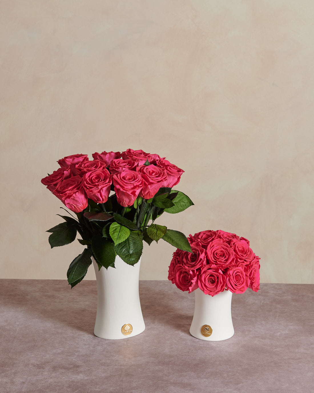 Creme Dozen Long Stems by La Fleur Lifetime Flowers