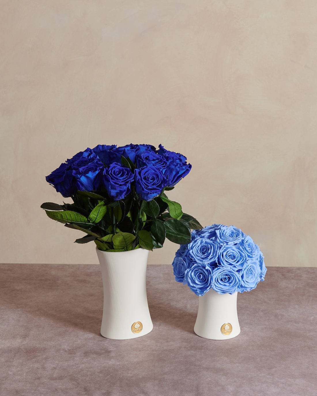 Creme Dozen Long Stems by La Fleur Lifetime Flowers