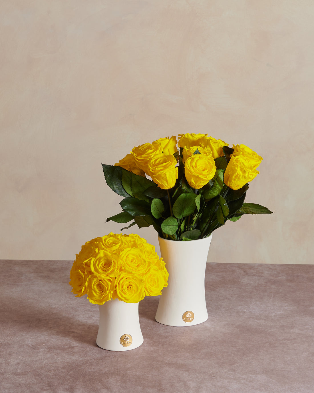 Creme Dozen Long Stems by La Fleur Lifetime Flowers