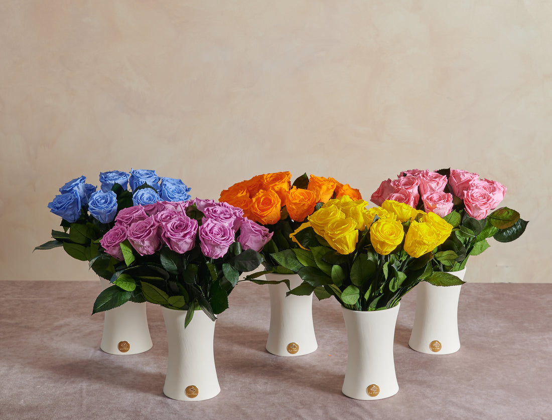 Creme Dozen Long Stems by La Fleur Lifetime Flowers