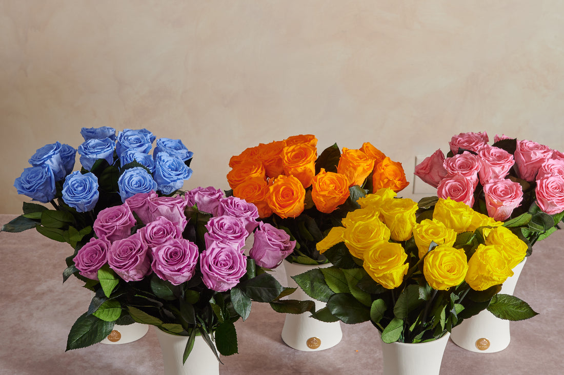 Creme Dozen Long Stems by La Fleur Lifetime Flowers