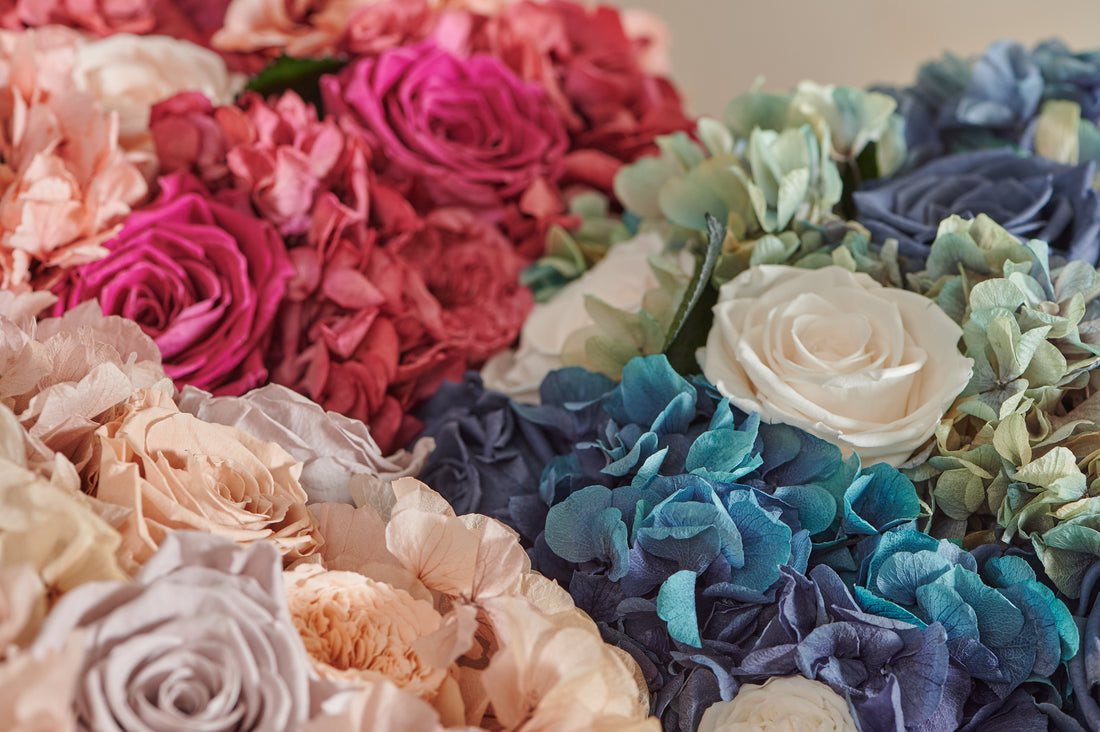 Long Stem Hydrangea by La Fleur Lifetime Flowers