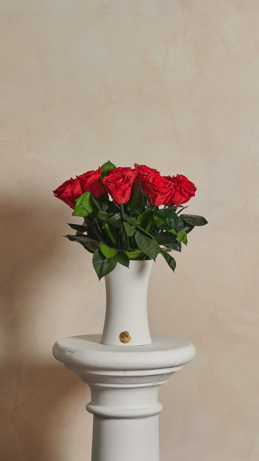 Creme Dozen Long Stems by La Fleur Lifetime Flowers