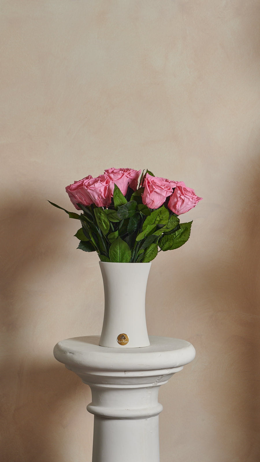 Creme Dozen Long Stems by La Fleur Lifetime Flowers