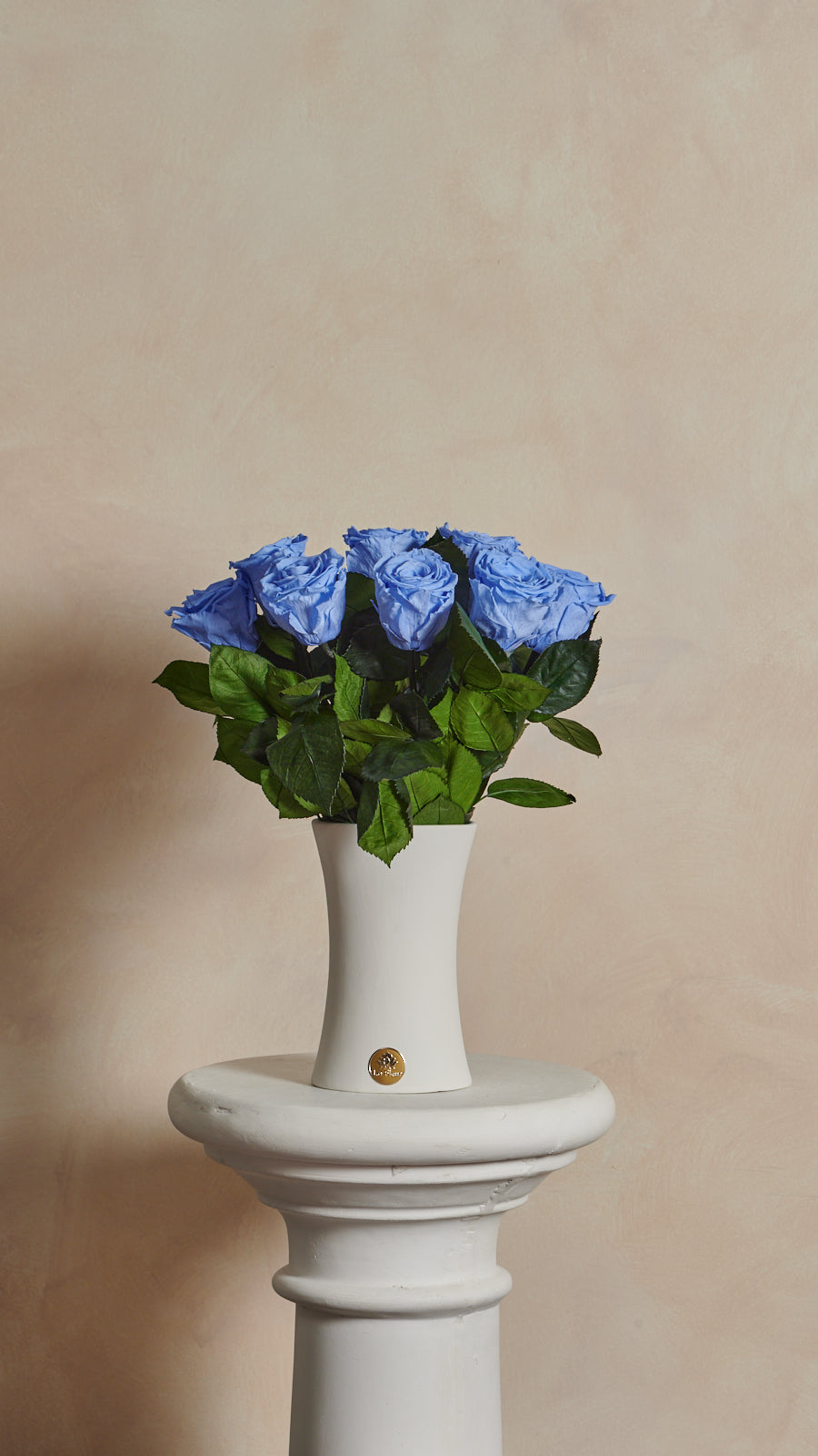 Creme Dozen Long Stems by La Fleur Lifetime Flowers
