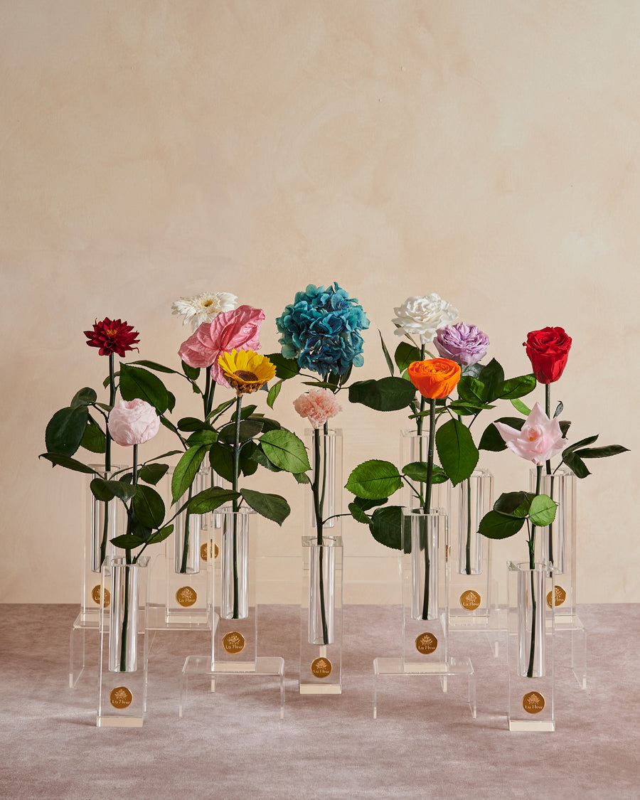 Birth Month Collection - June by La Fleur Lifetime Flowers
