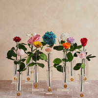 Birth Month Collection - April by La Fleur Lifetime Flowers