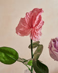 Birth Month Collection - November by La Fleur Lifetime Flowers