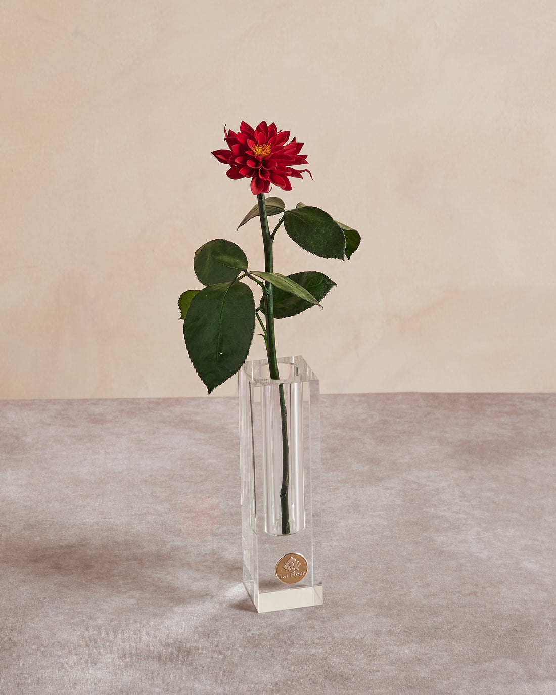 Birth Month Collection - December by La Fleur Lifetime Flowers