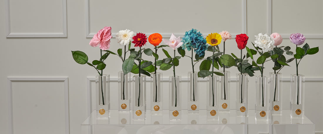 Birth Month Collection - March by La Fleur Lifetime Flowers