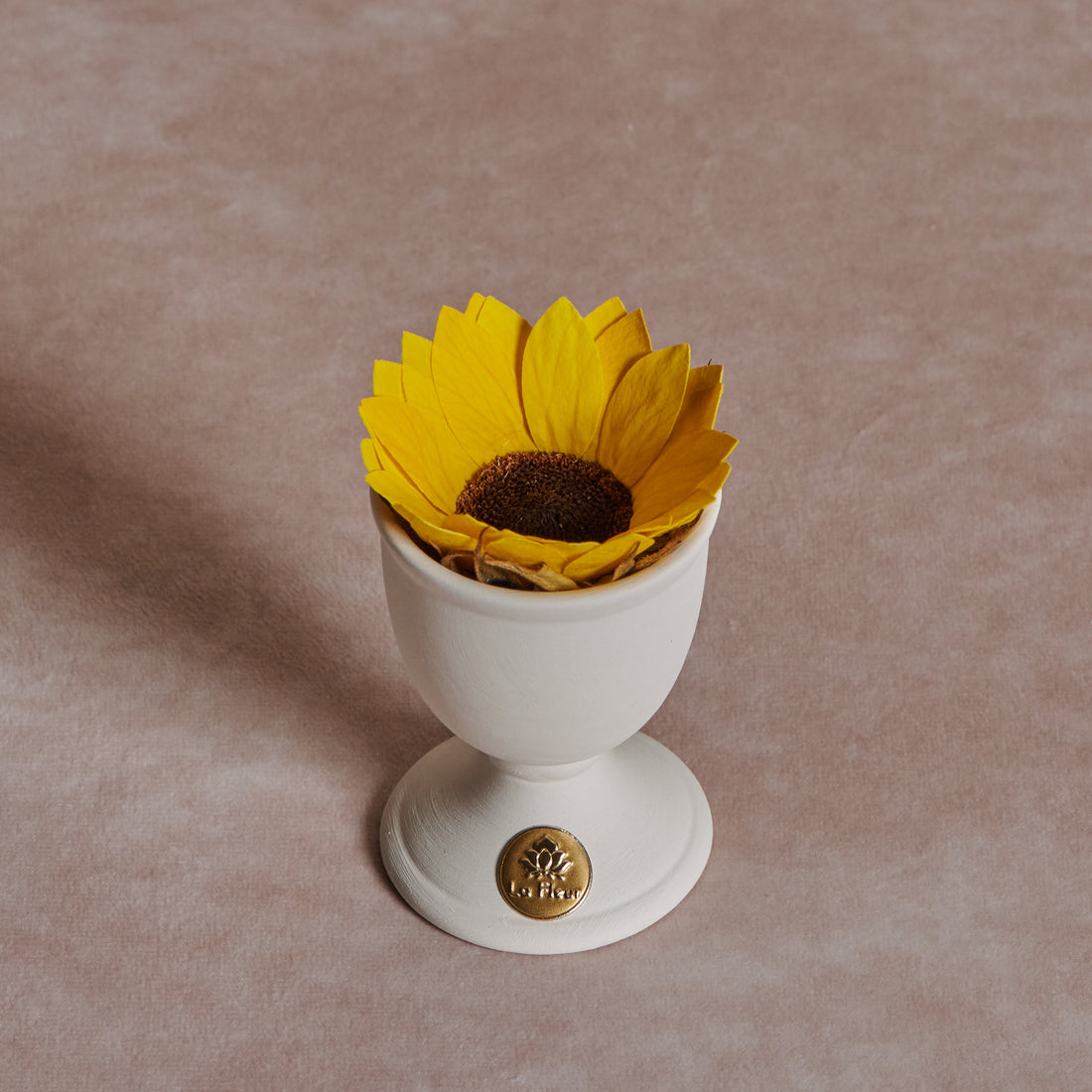 Creme Sunflower Mini by La Fleur Lifetime Flowers