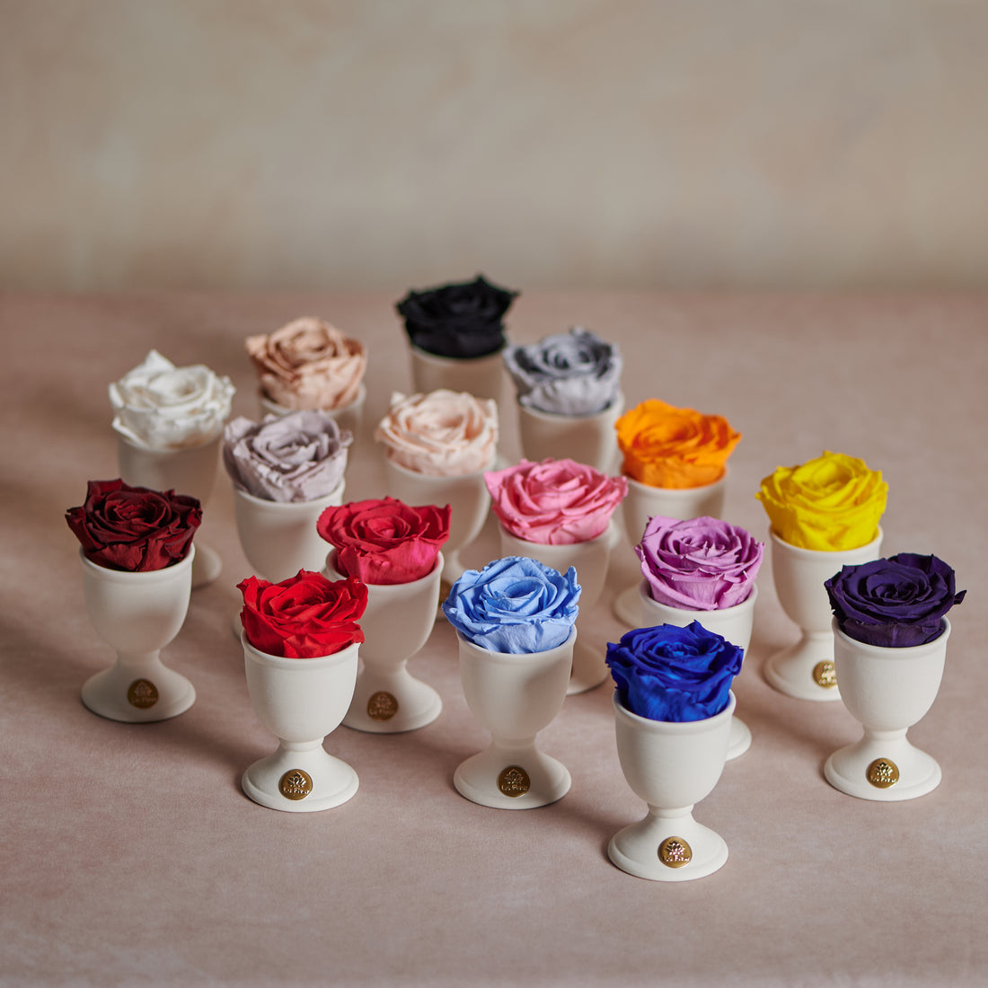 Creme Mini by La Fleur Lifetime Flowers