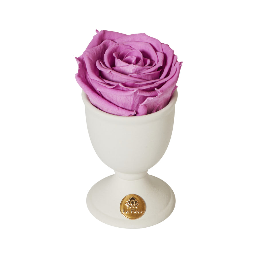 Creme Mini by La Fleur Lifetime Flowers