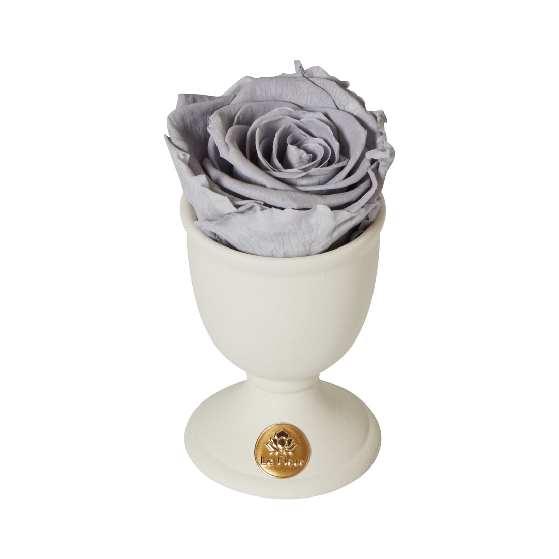 Creme Mini by La Fleur Lifetime Flowers