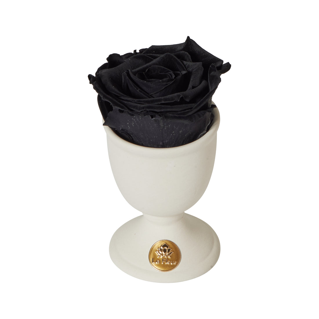 Creme Mini by La Fleur Lifetime Flowers