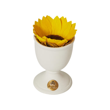 Creme Sunflower Mini by La Fleur Lifetime Flowers