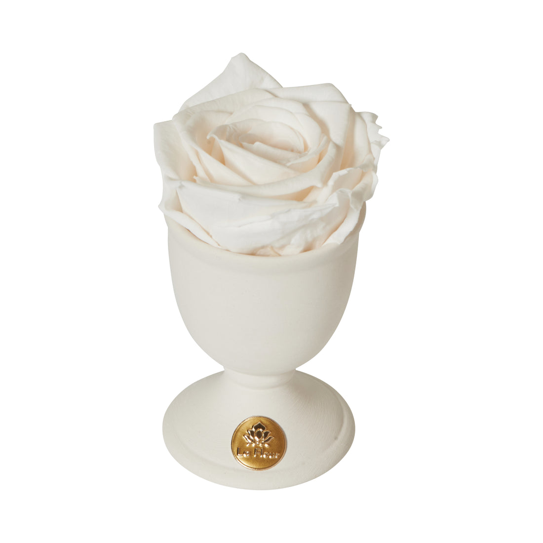 Creme Mini by La Fleur Lifetime Flowers