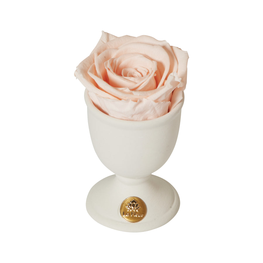 Creme Mini by La Fleur Lifetime Flowers