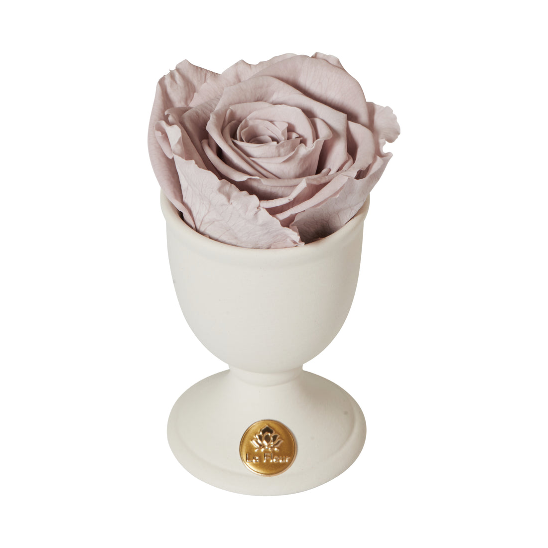 Creme Mini by La Fleur Lifetime Flowers