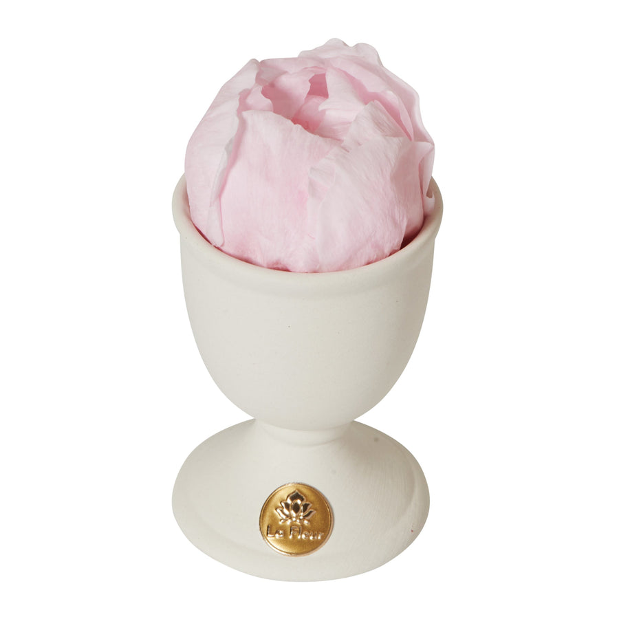 Creme Peony Mini by La Fleur Lifetime Flowers