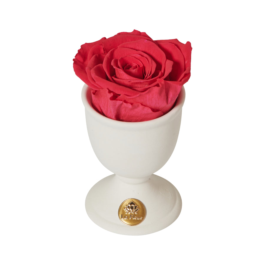 Creme Mini by La Fleur Lifetime Flowers