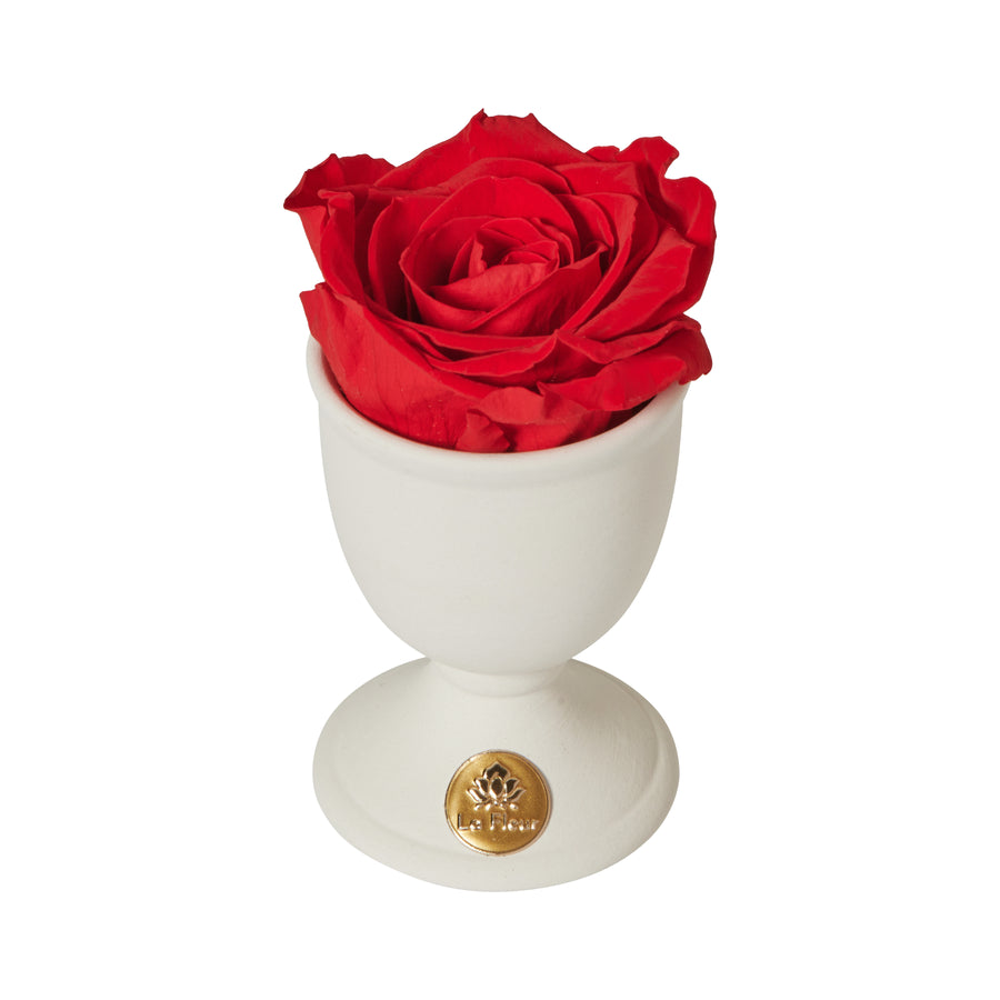 Creme Mini by La Fleur Lifetime Flowers