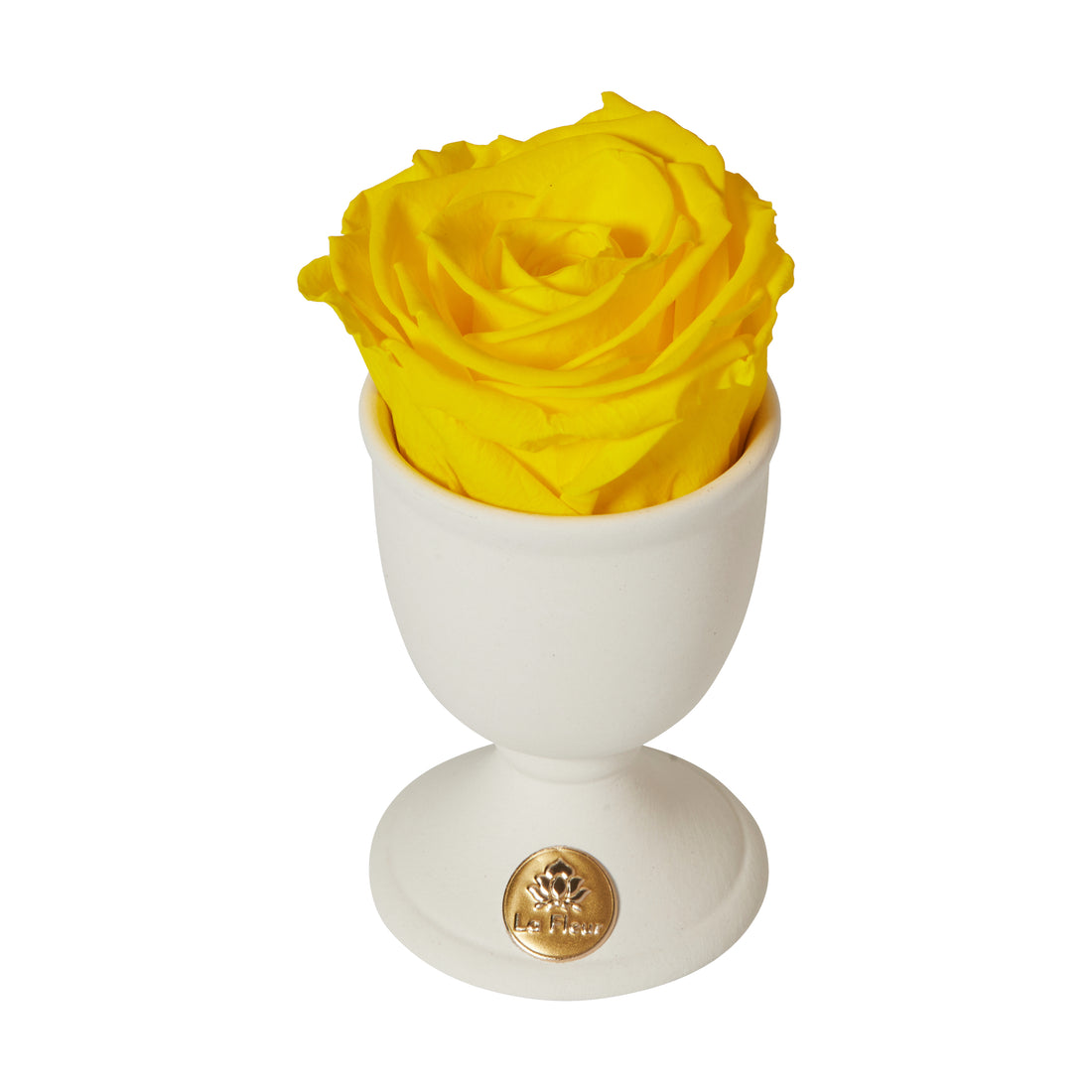 Creme Mini by La Fleur Lifetime Flowers