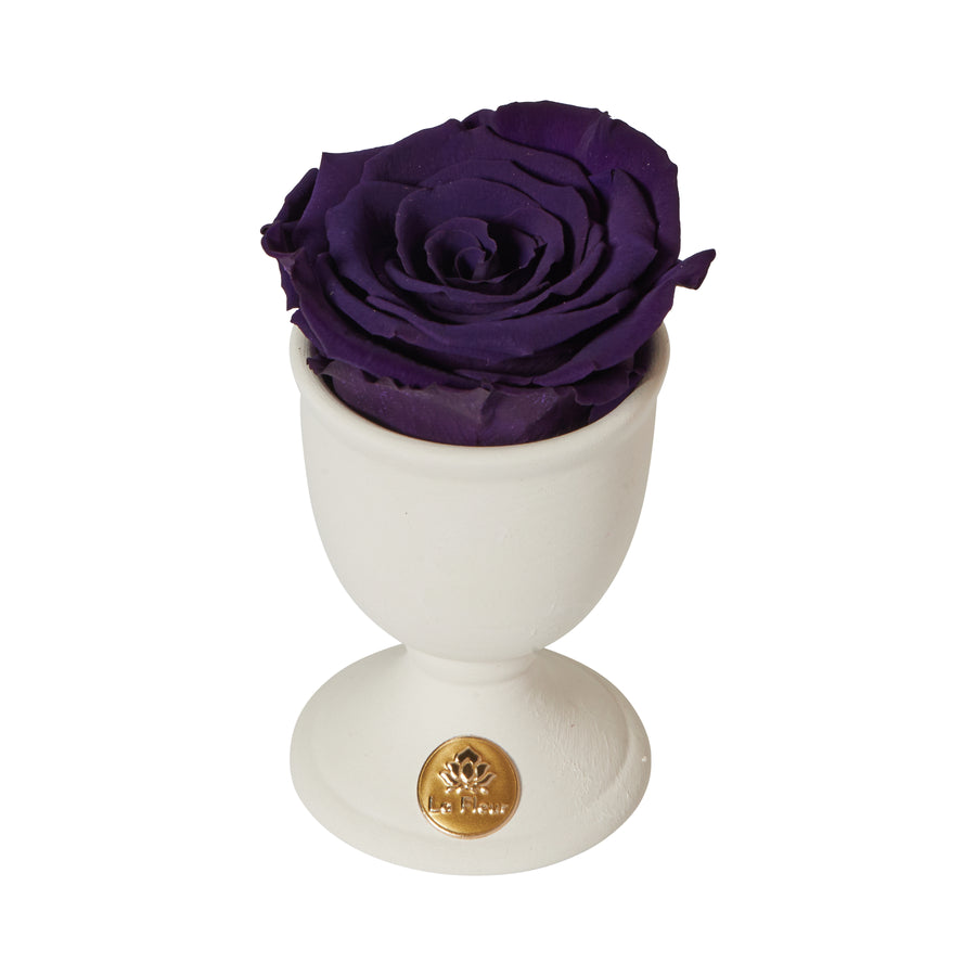 Creme Mini by La Fleur Lifetime Flowers