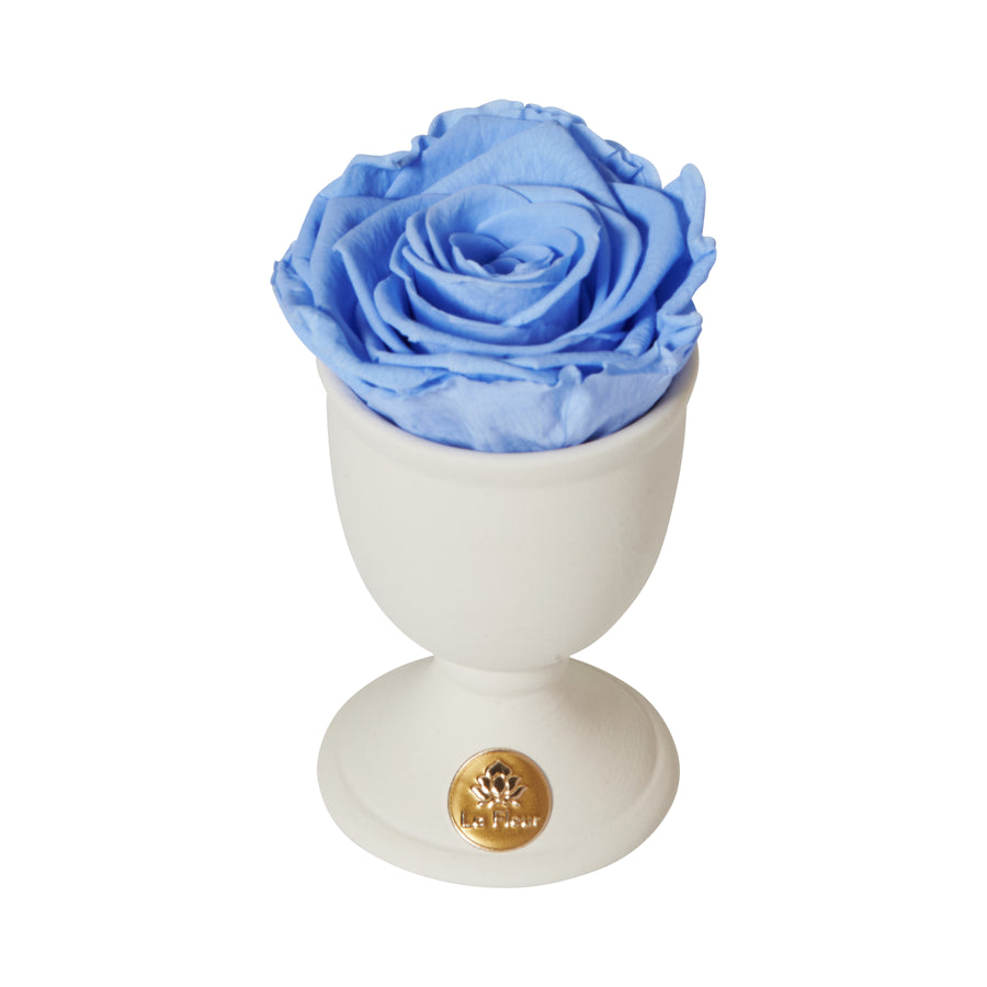 Creme Mini by La Fleur Lifetime Flowers