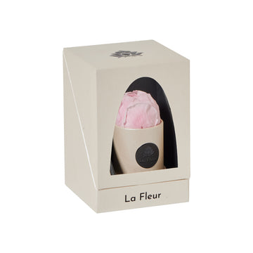 Pearl Peony Mini by La Fleur Lifetime Flowers