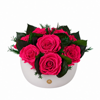 Jolie Grande - Rose