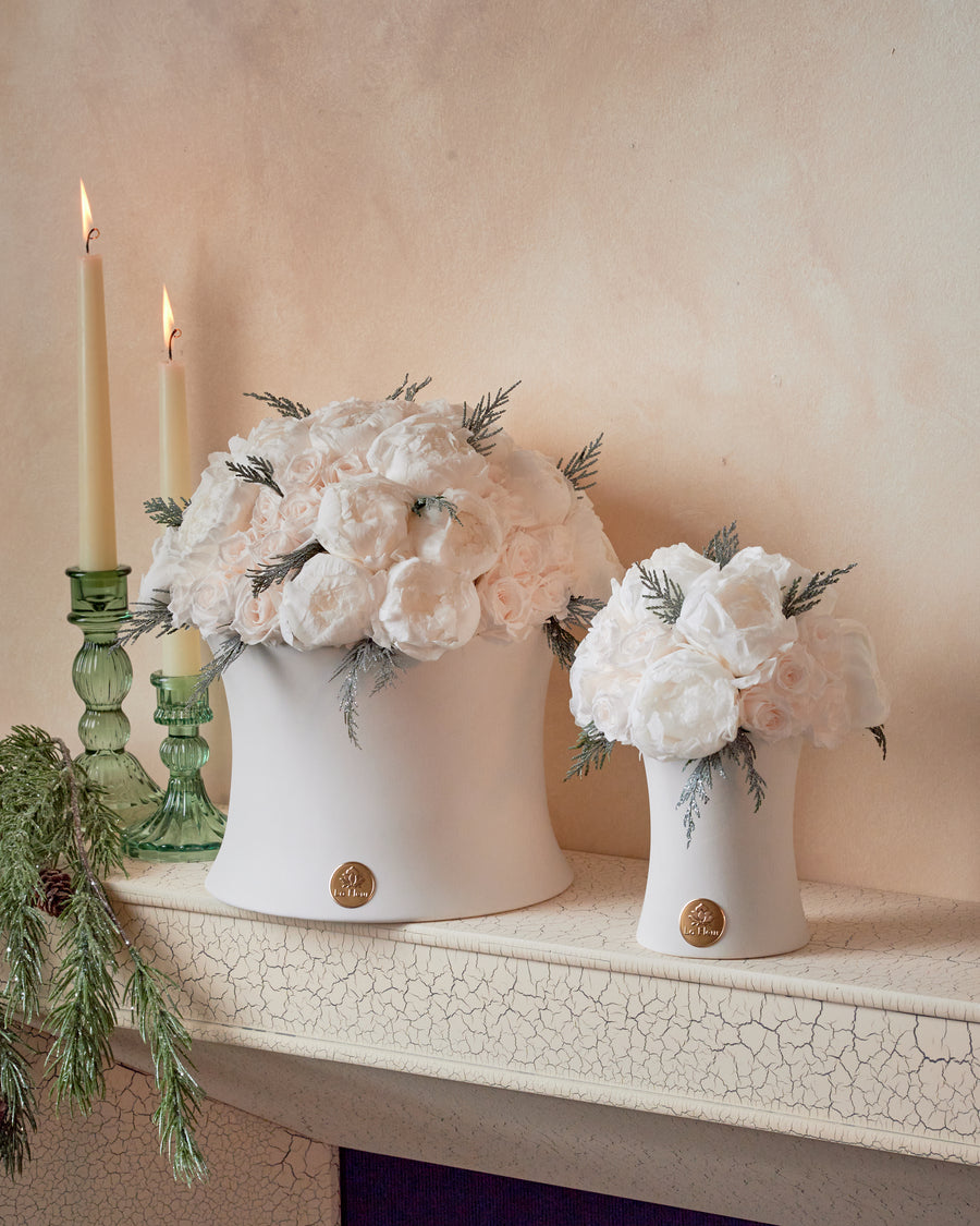 Creme Dome - Starlight