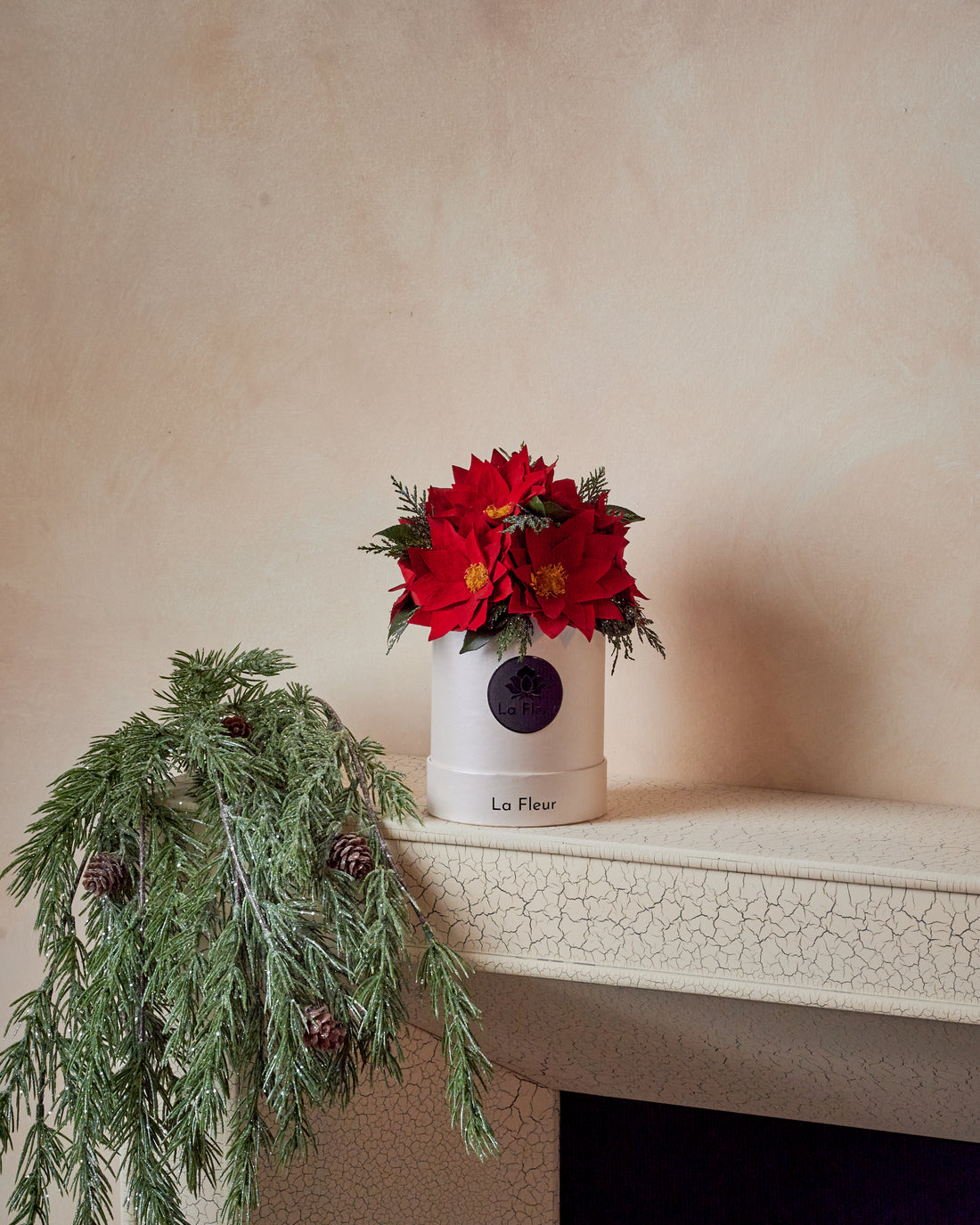 Poinsettia Petite Dome