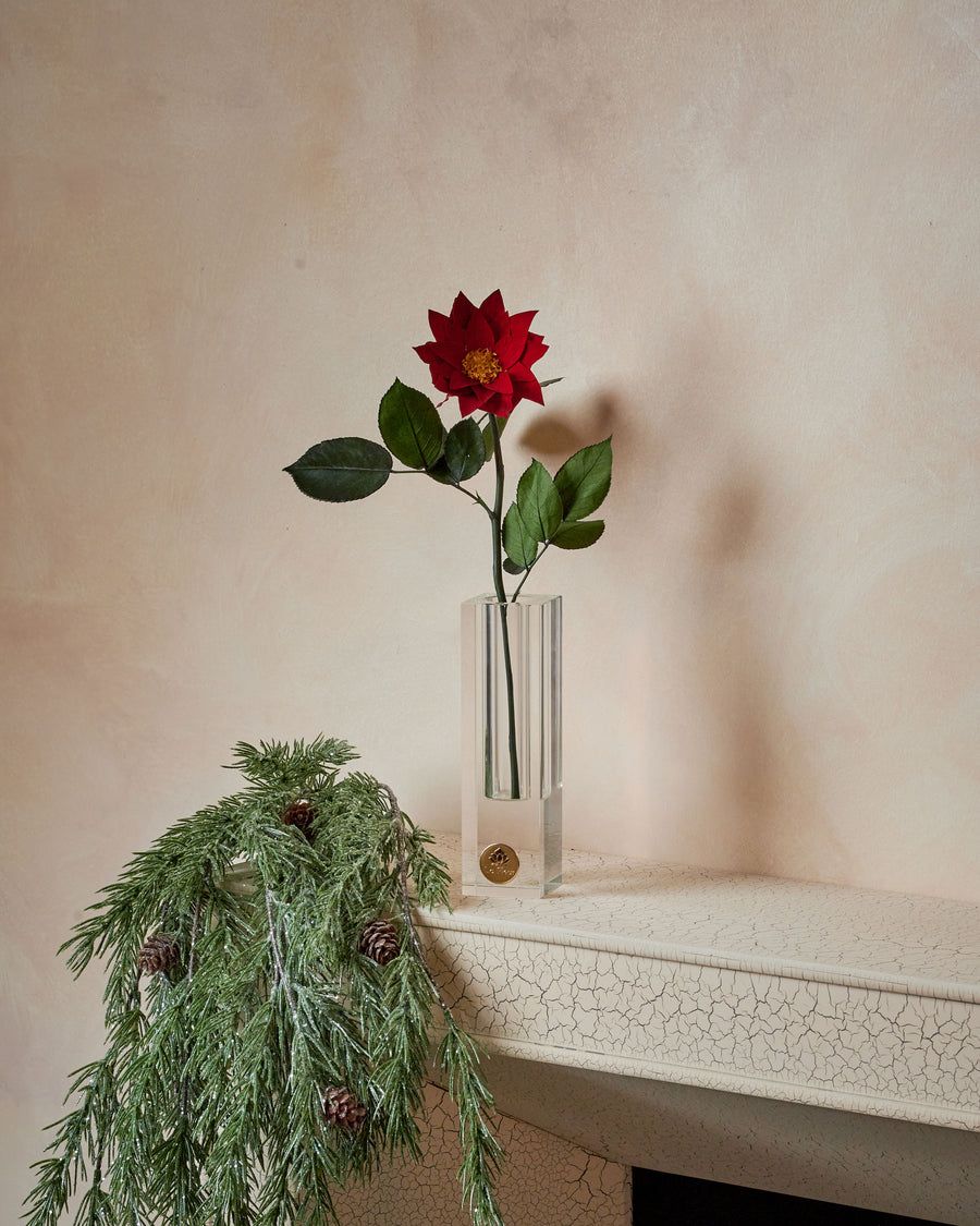 Poinsettia Single Stem