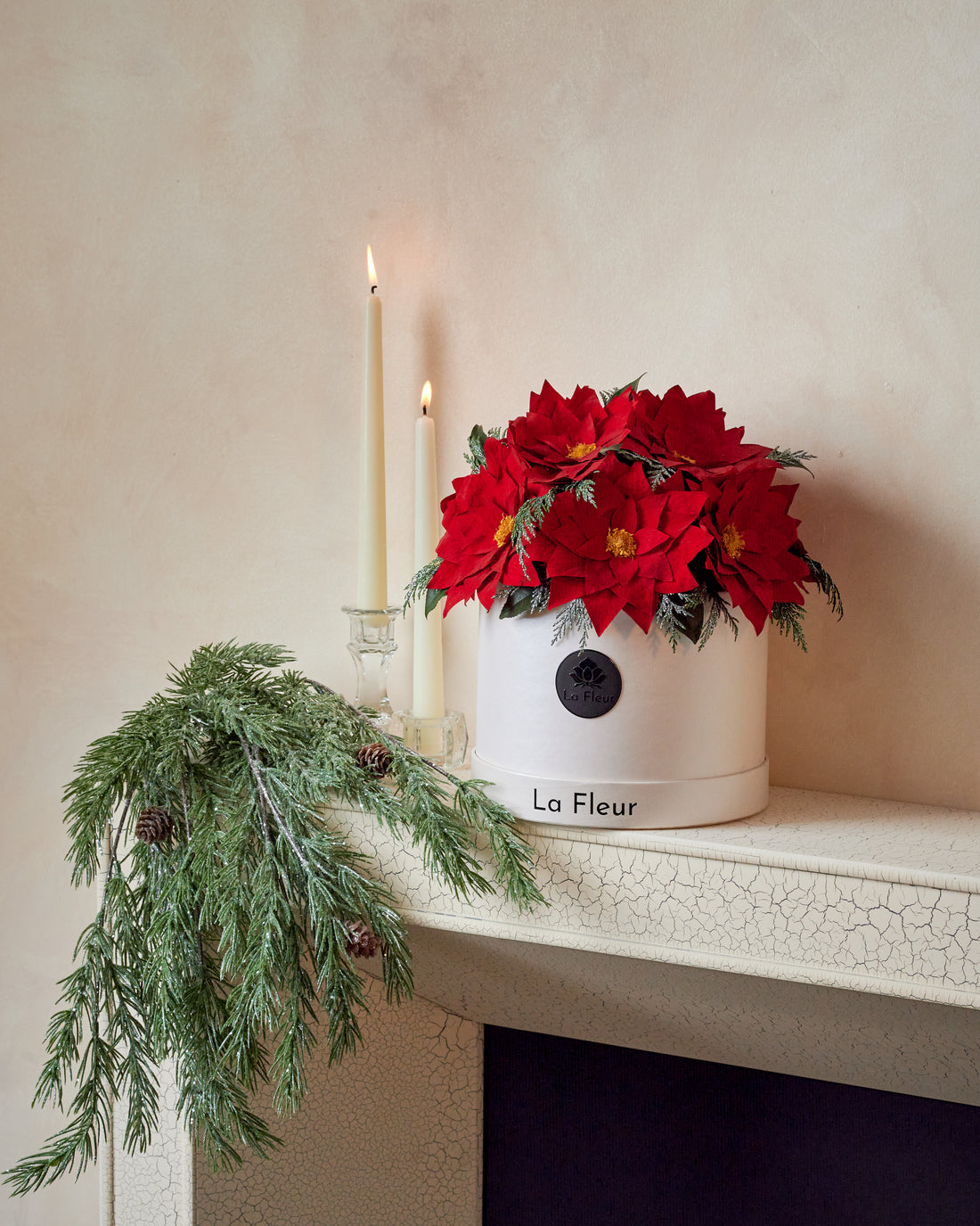 Poinsettia Dome