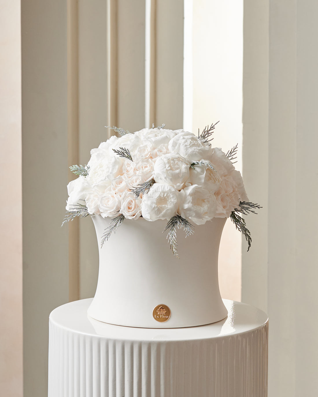 Creme Dome - Starlight