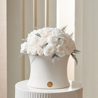 Creme Dome - Starlight